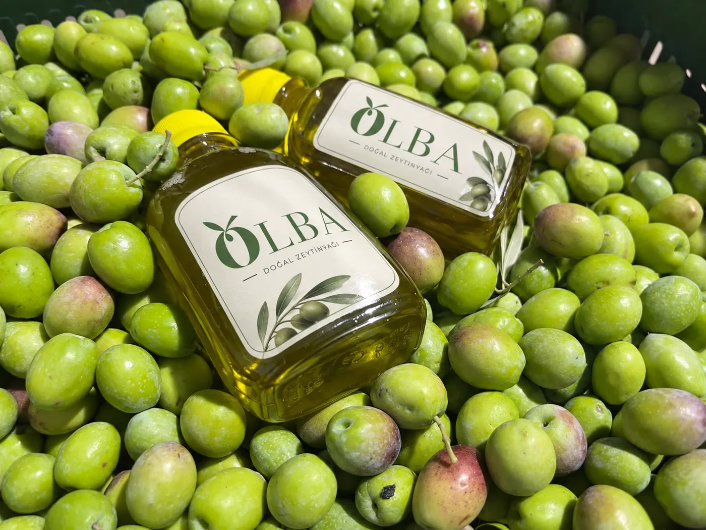 Olba-Flaschen auf Oliven